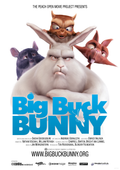 Video (DVD)