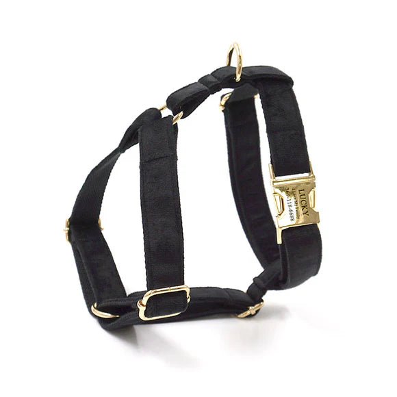 Dog Harness